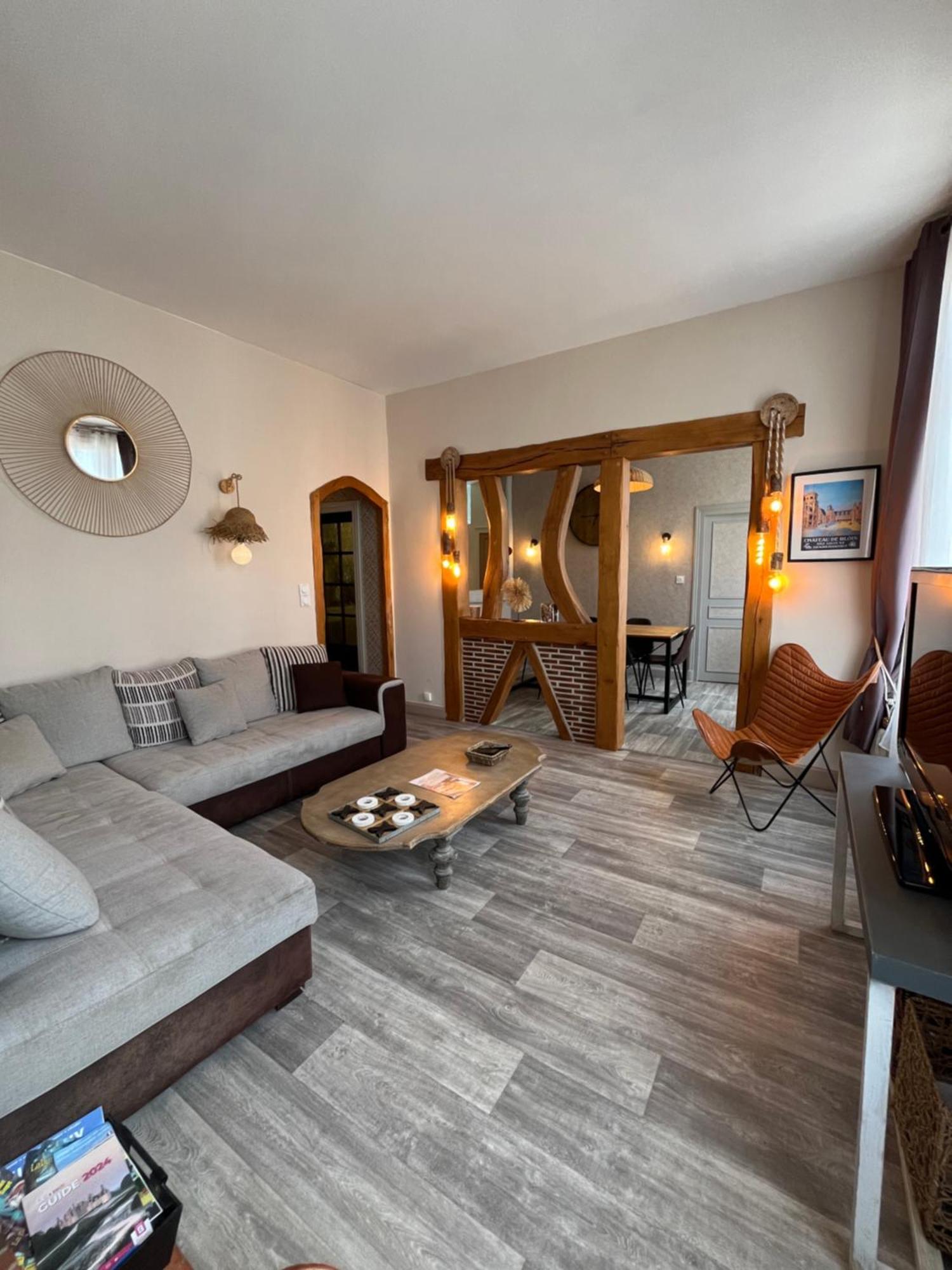 Cote Chateau - Grand Appartement Au Coeur De 布鲁瓦 外观 照片
